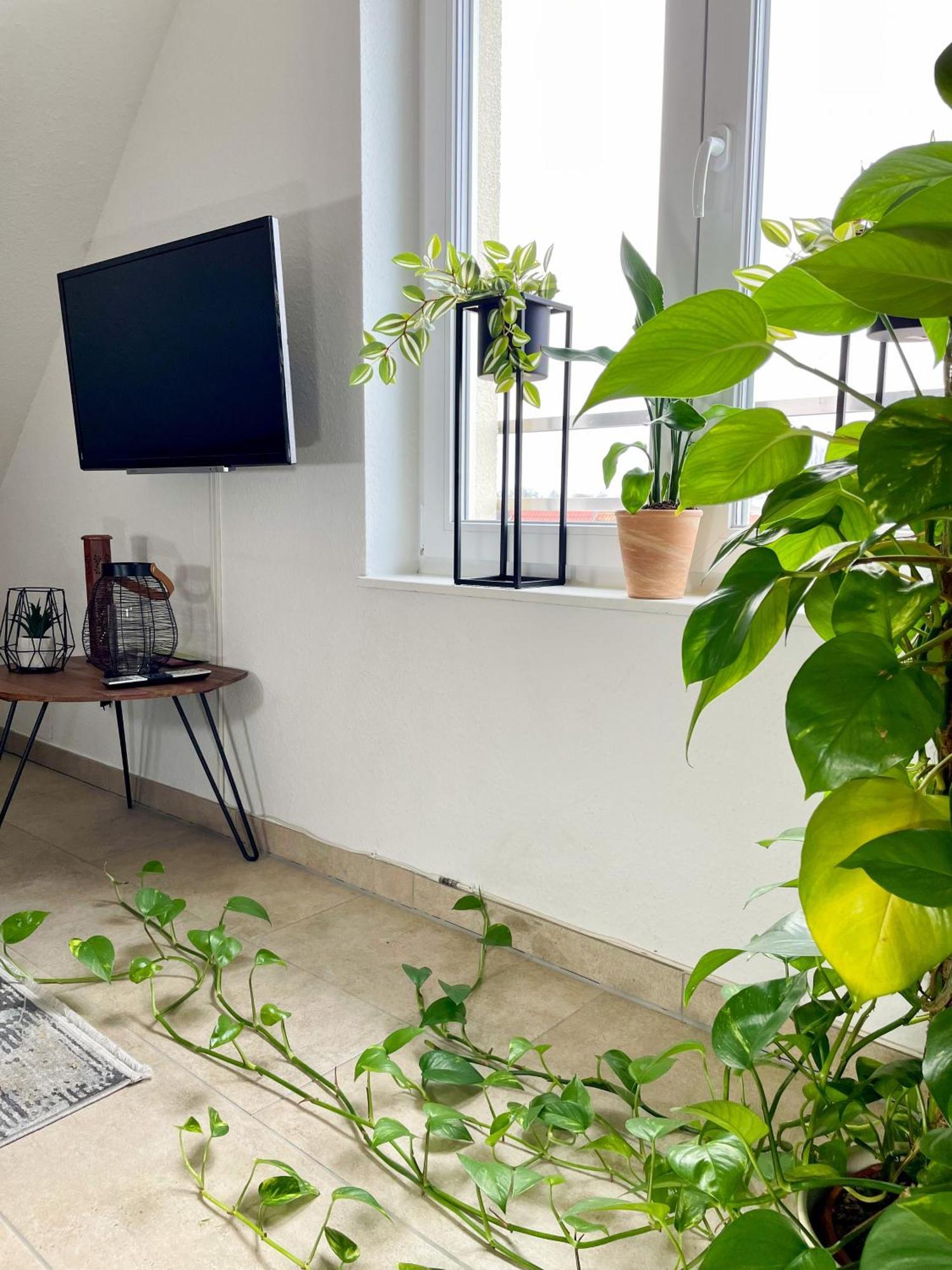 Ahaus: Stadtoase Mit Terrasse & Privater Garage Bagian luar foto